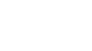 NMSDC — National Minority Supplier Development Council