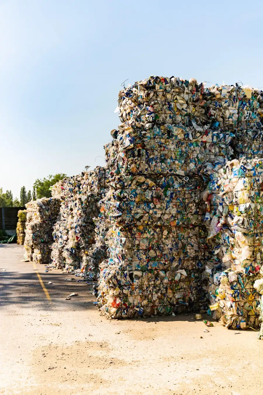 Baled cardboard and plastic film staged for recycling
